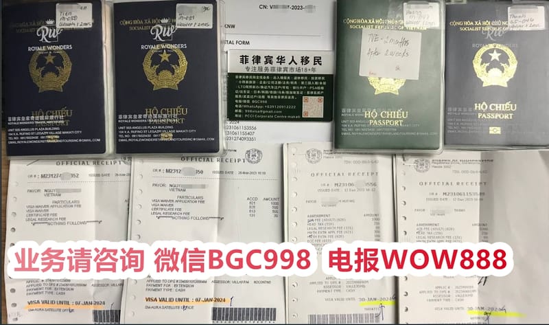 菲律宾FIV申请需要的材料和周期费用