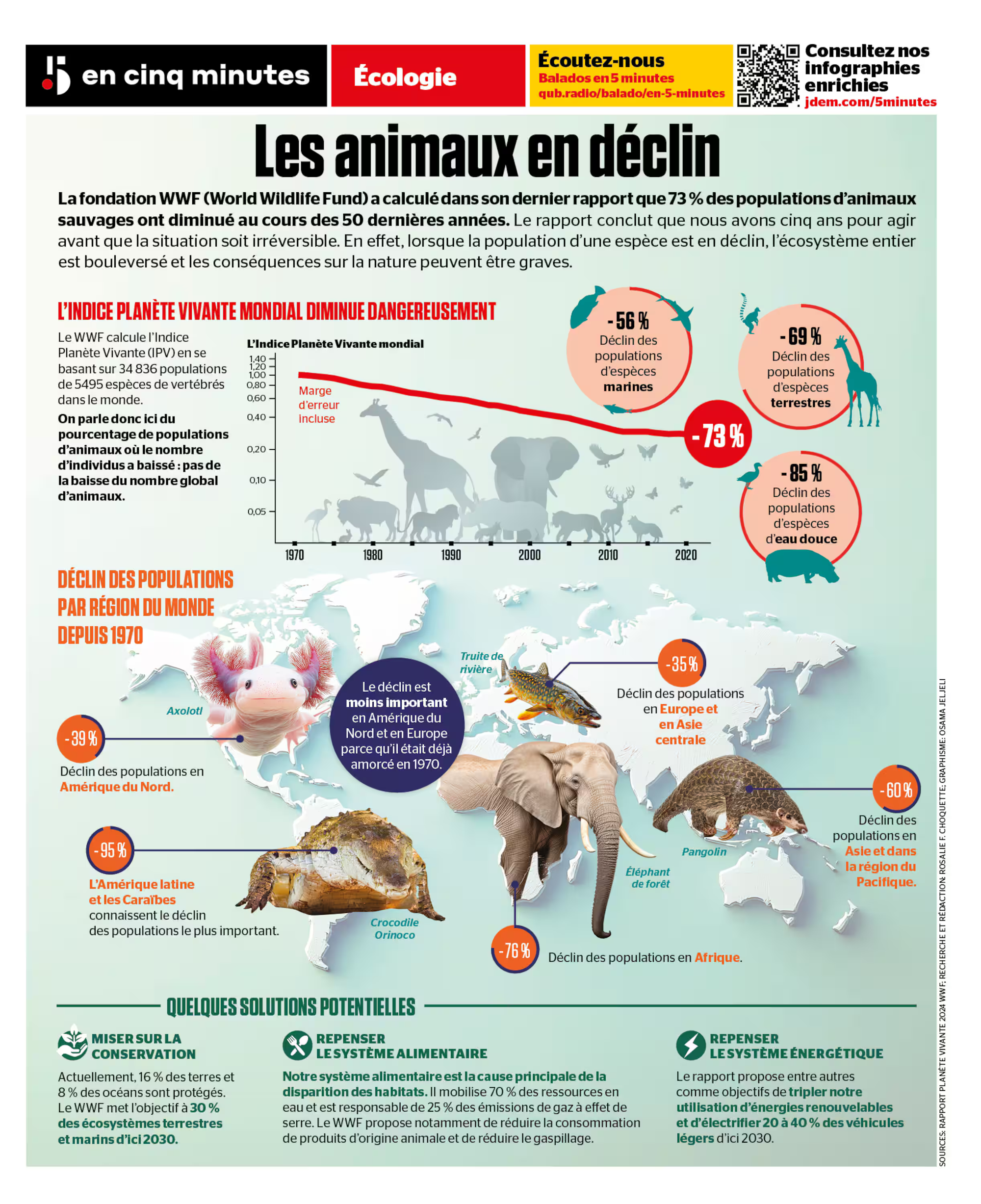 Les animaux sauvages en déclin...(novembre 2024)