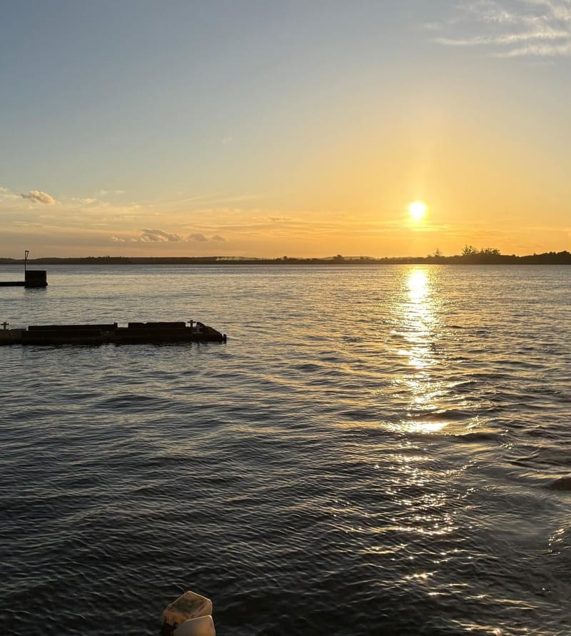 Opciones para una Estancia Perfecta