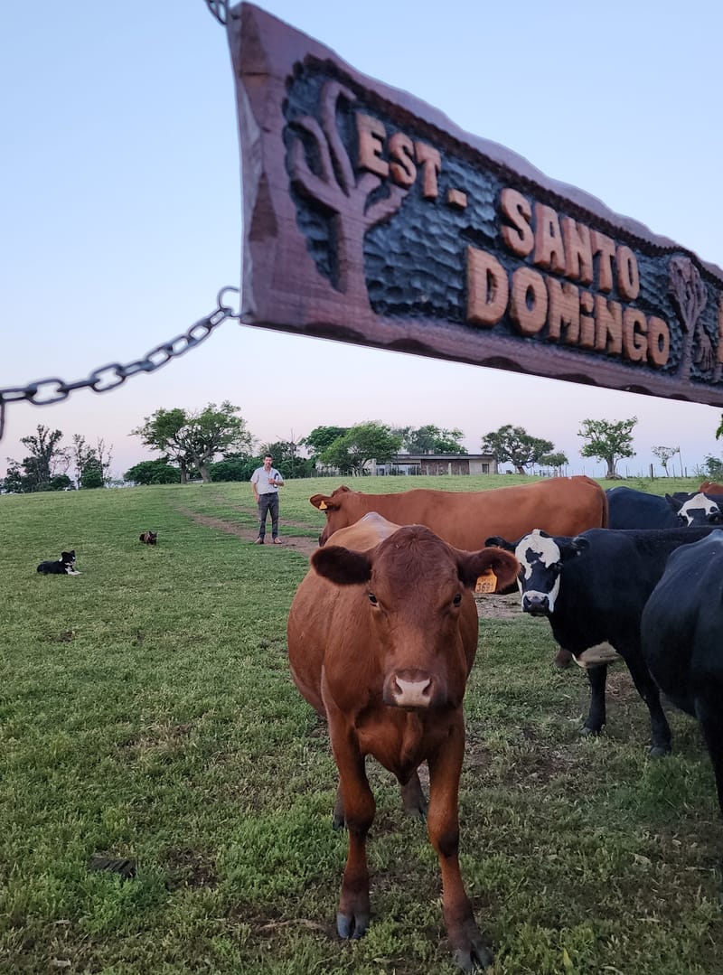 Establecimiento Santo Domingo