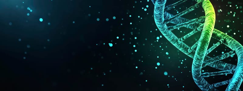 Organisations-DNA: Was sie ist, wie man sie entschlüsselt – und warum sie erfolgsentscheidend ist