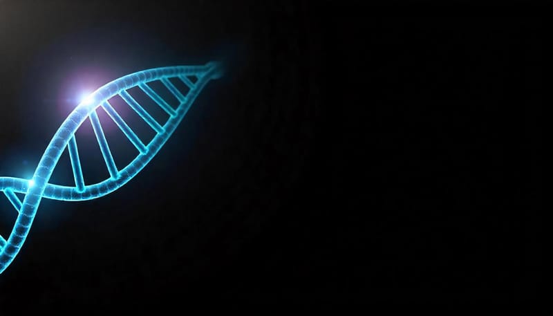 Die Architektur der Organisation der Zukunft