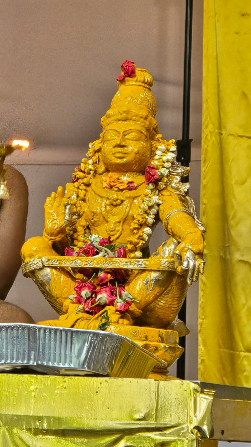 Saasthaa's First Vishu Mahotsavam