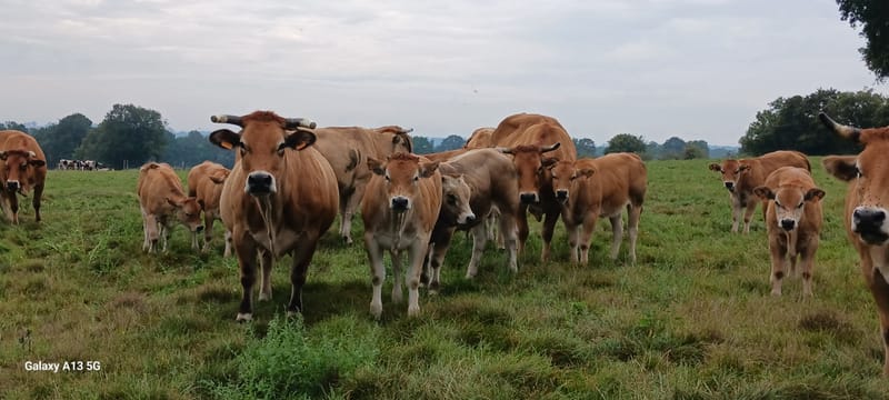 Ferme de la Seurrie