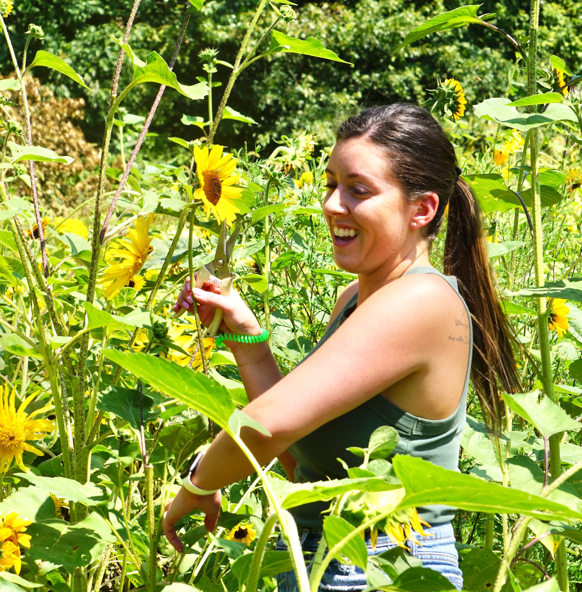 Anne-Marie's Flower Farm