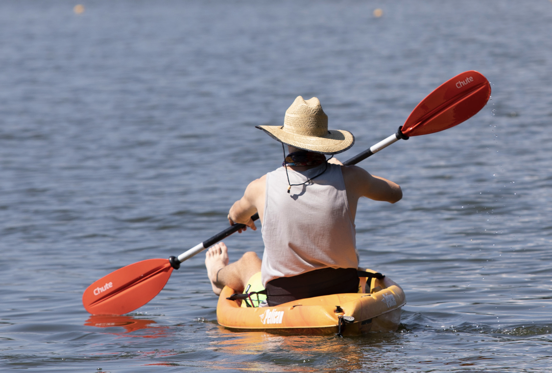 Exciting news, everyone!