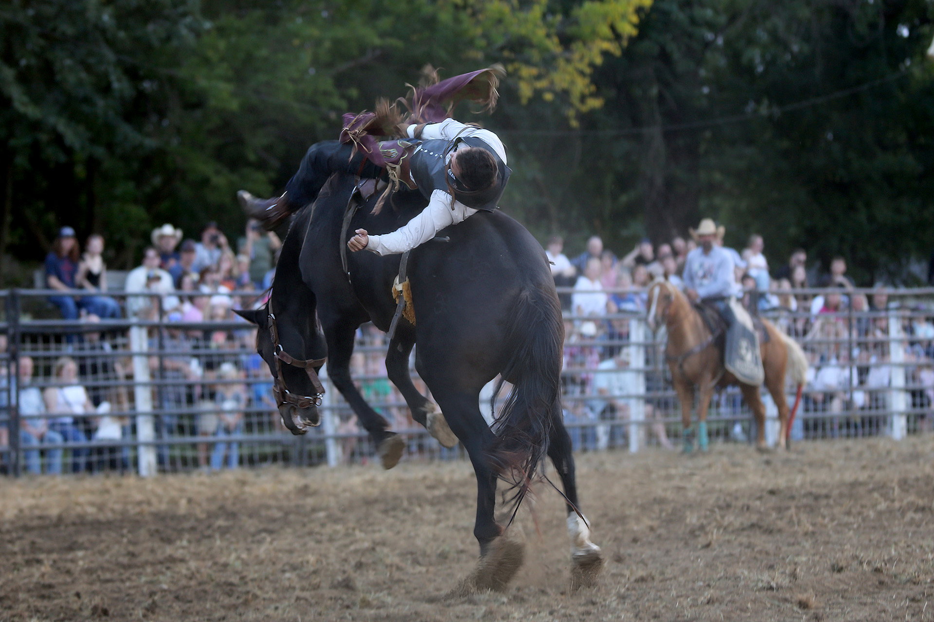 Experience the Clermont Rodeo
