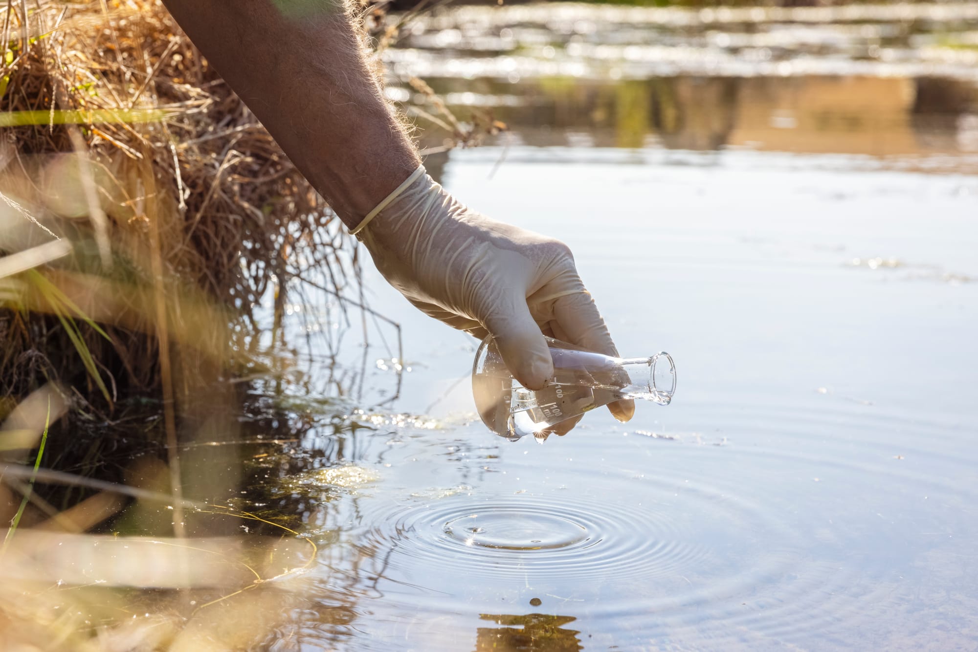 White River Alliance Announces Seventh Annual Indiana Water Summit