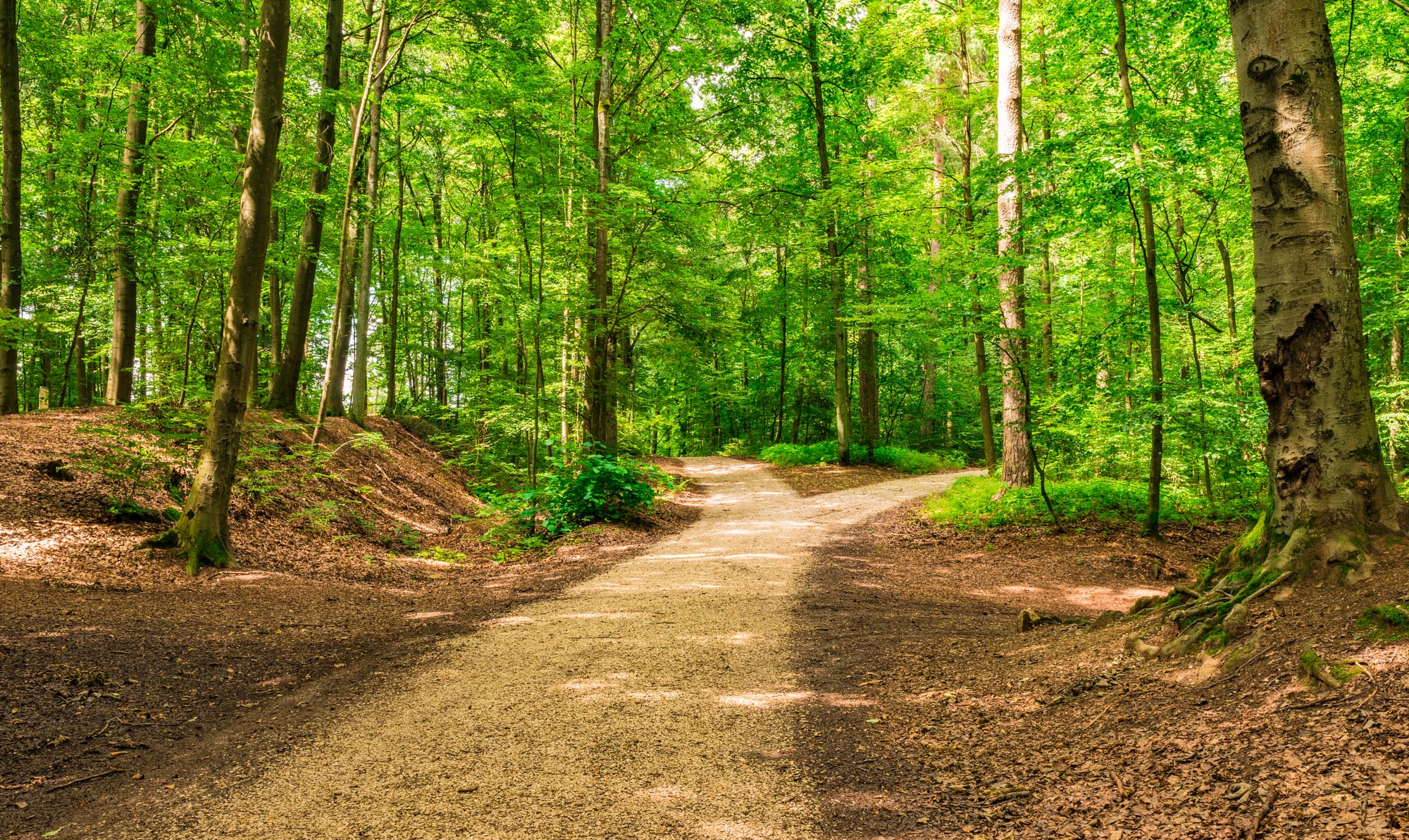 Rails-to-Trails on Westside of Indianapolis