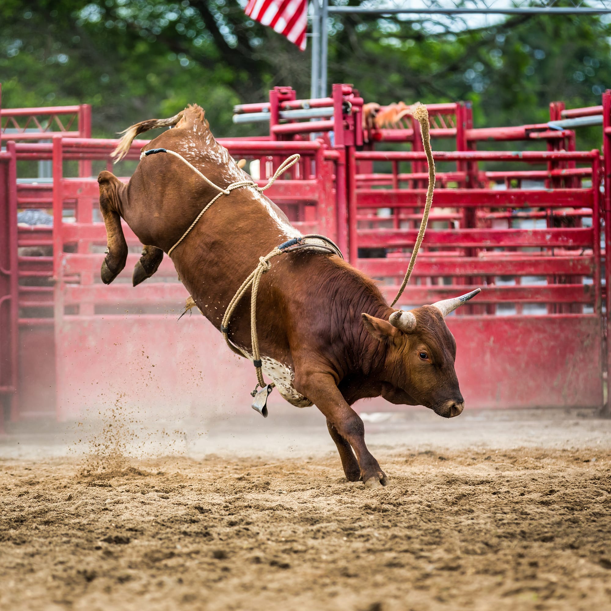 Clermont Festival & Rodeo September 20, 2025