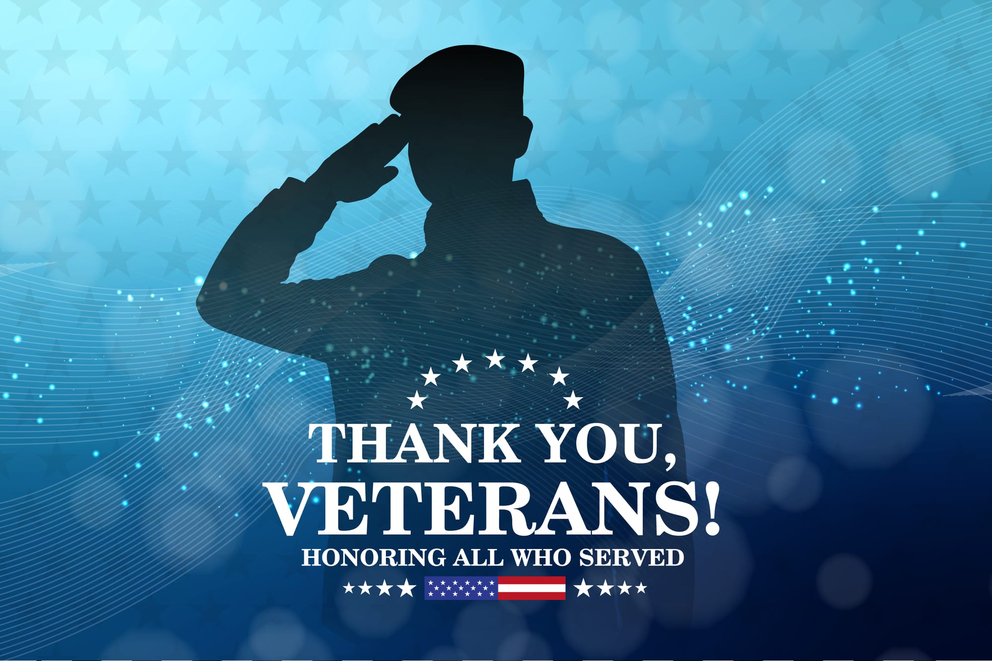 A Veterans Day Tribute