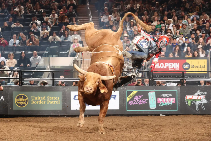 PBR Rodeo