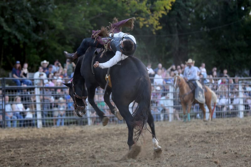 Experience the Clermont Rodeo