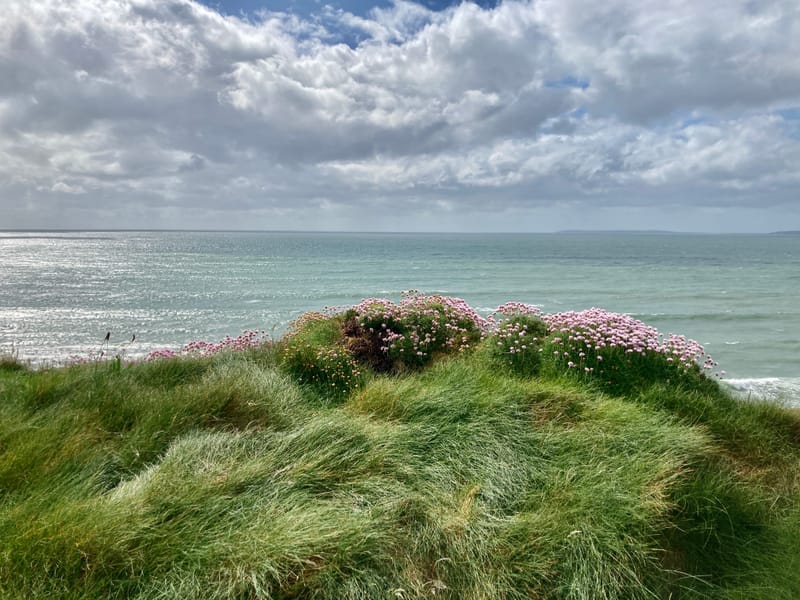 PRIVATE TRAVEL RISK &amp; EXPERIENCE STRATEGY