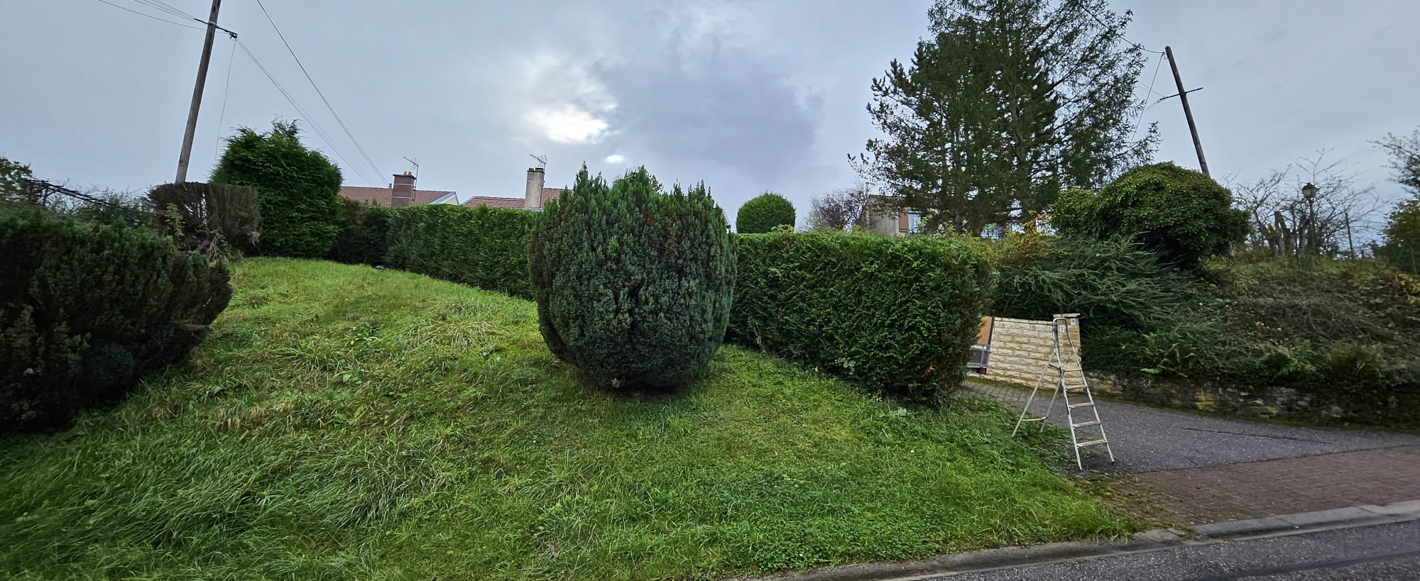 Taille de haie avant