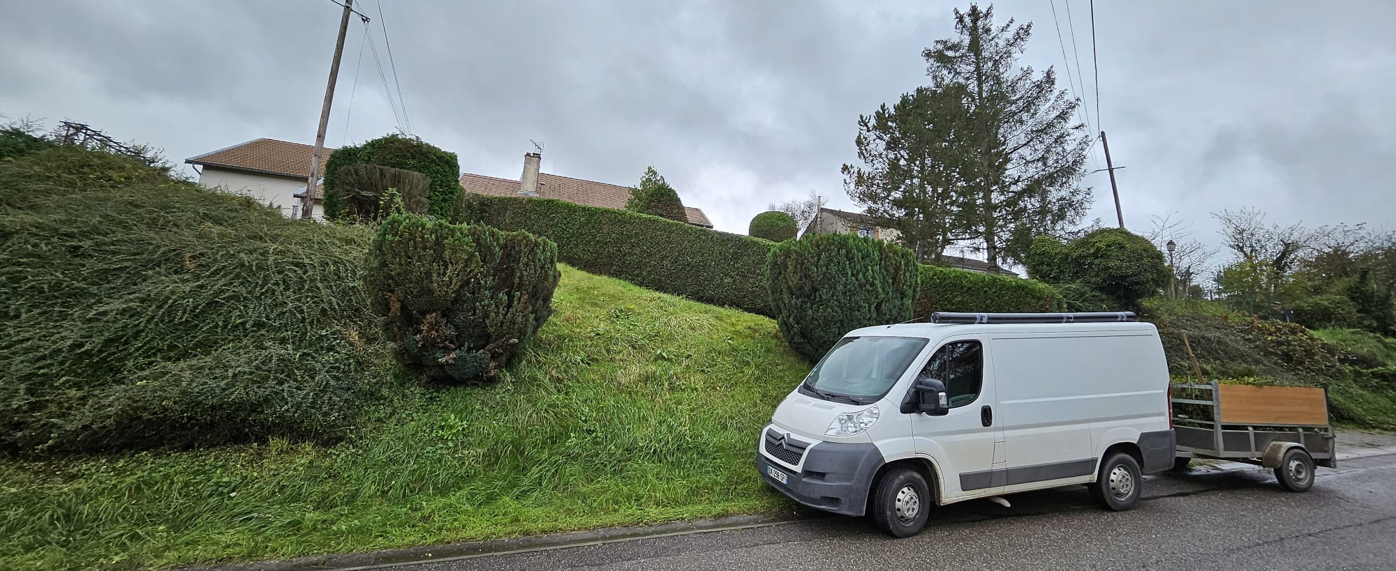 Taille de haie en cours et après