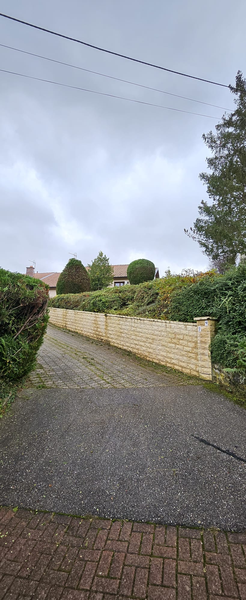 Taille de haie en cours et après