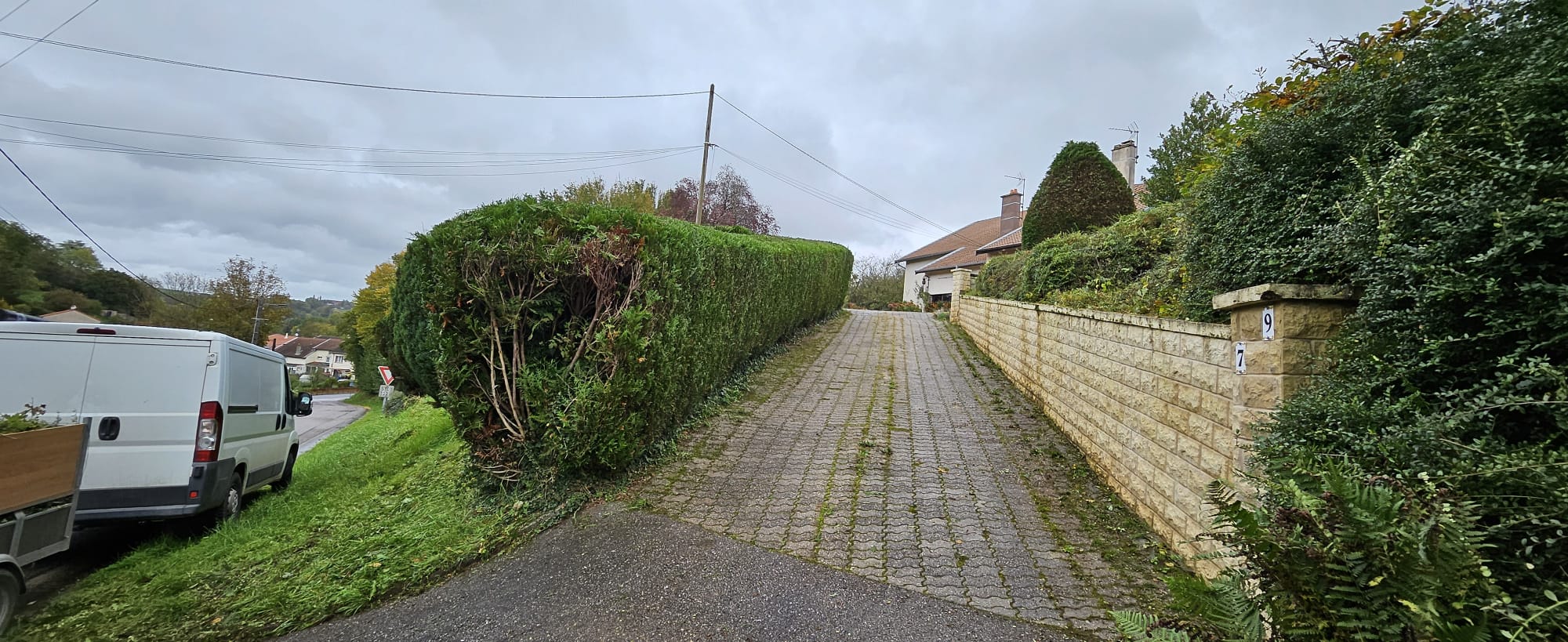 Taille de haie en cours et après