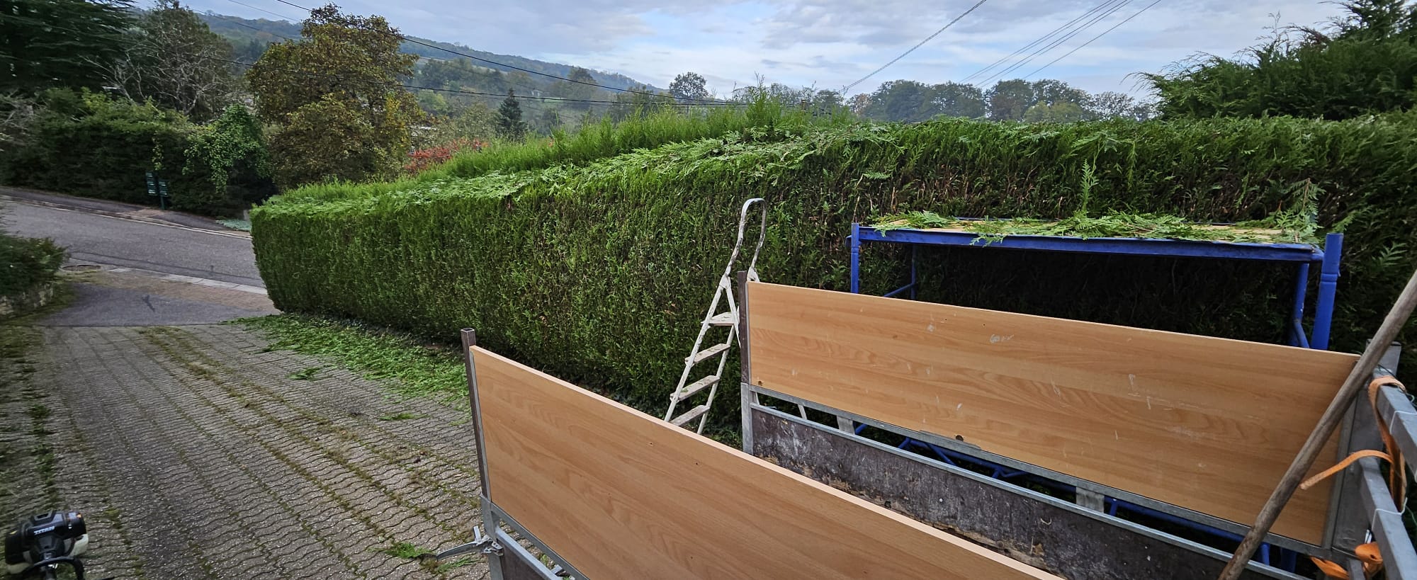 Taille de haie en cours et après
