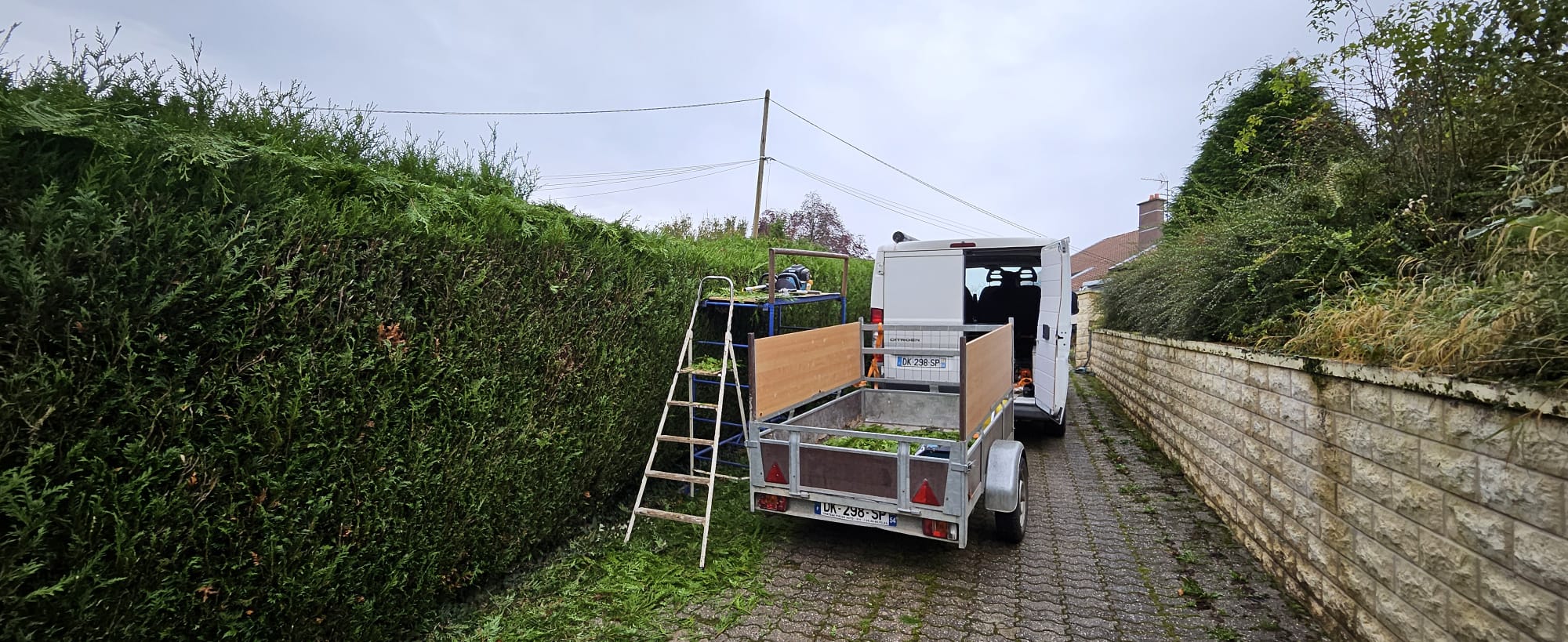 Taille de haie en cours et après