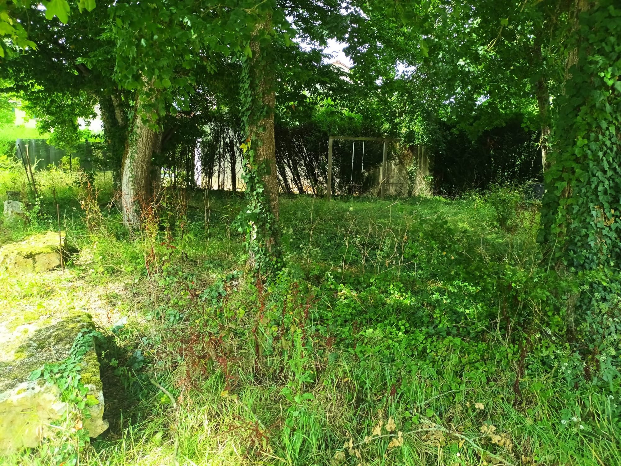 Tonte d'espaces verts