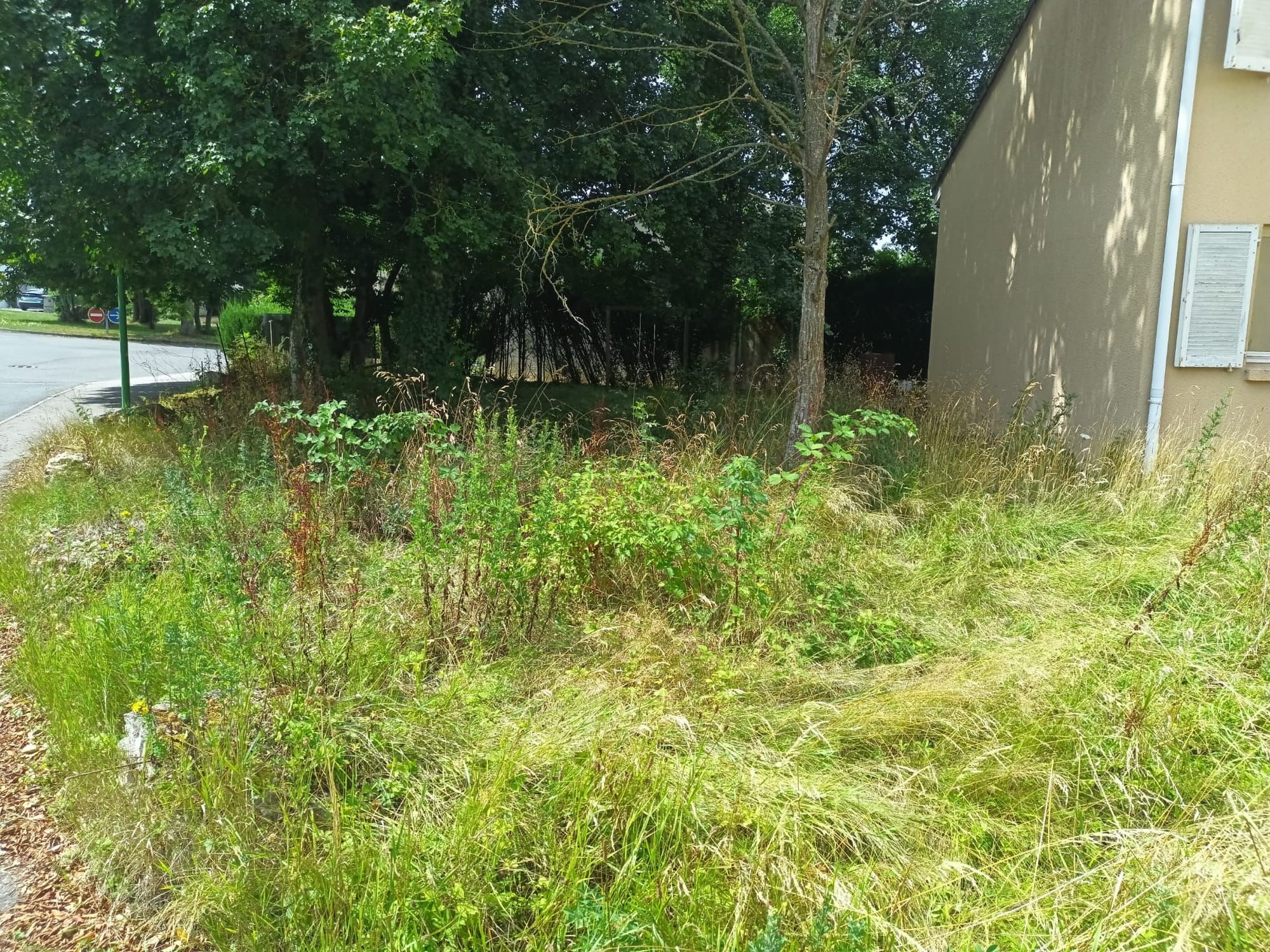 Tonte d'espaces verts