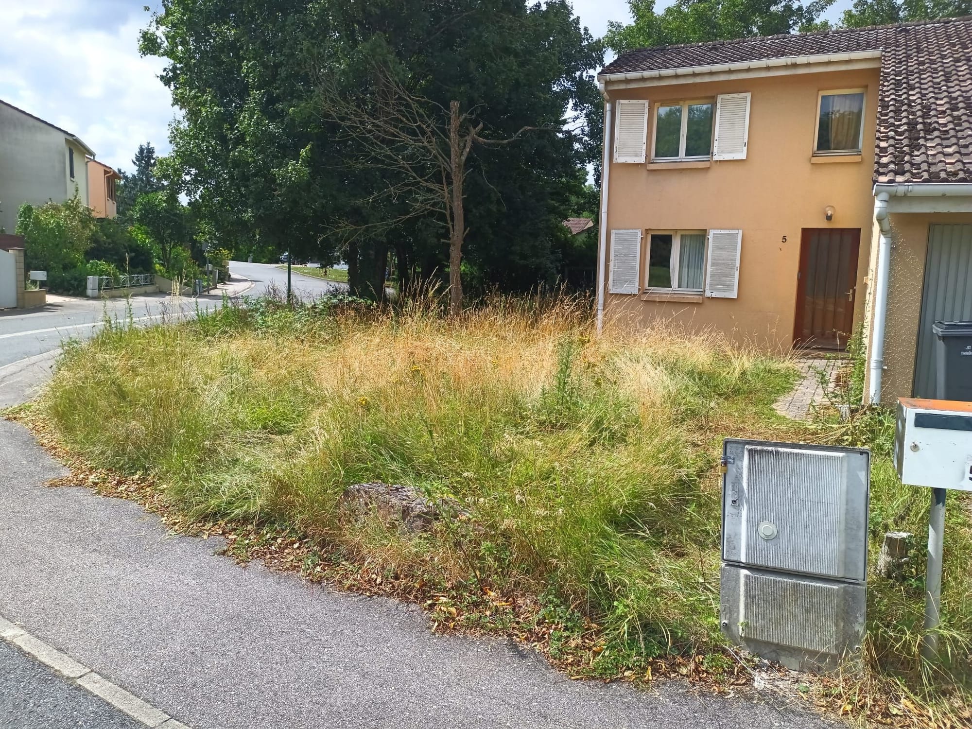 Tonte d'espaces verts