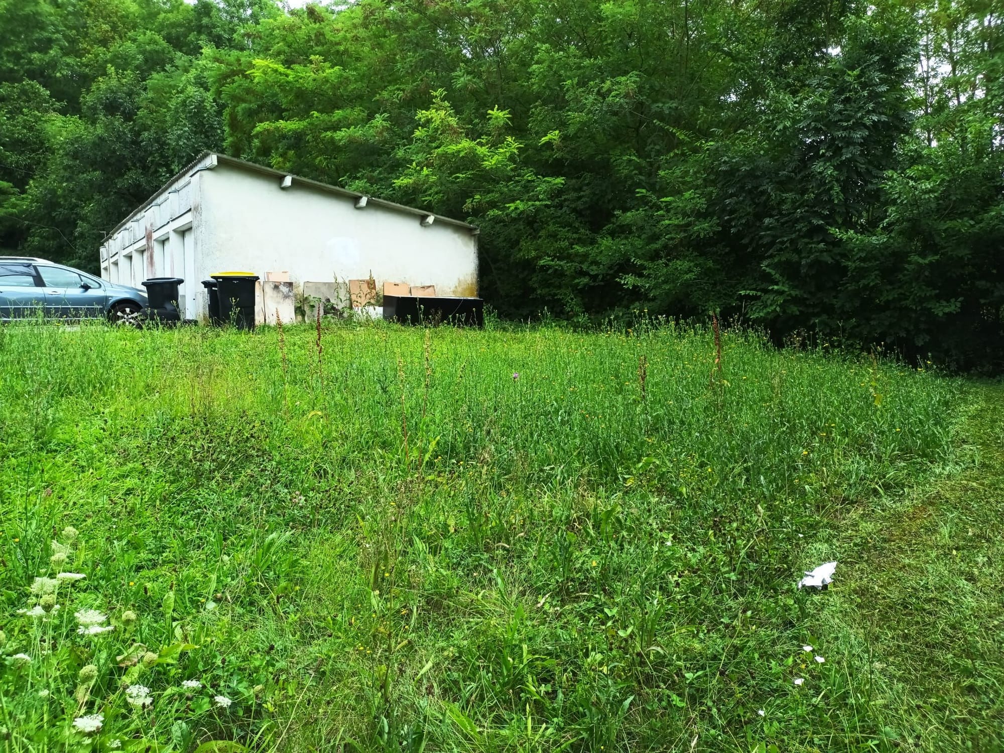 Tonte d'espaces verts