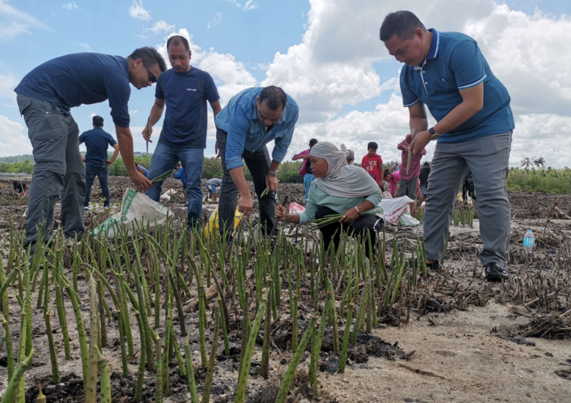 Mangrove Rehabilitation in Buenavista: AMICI’s Ongoing Commitment to Environmental Stewardship