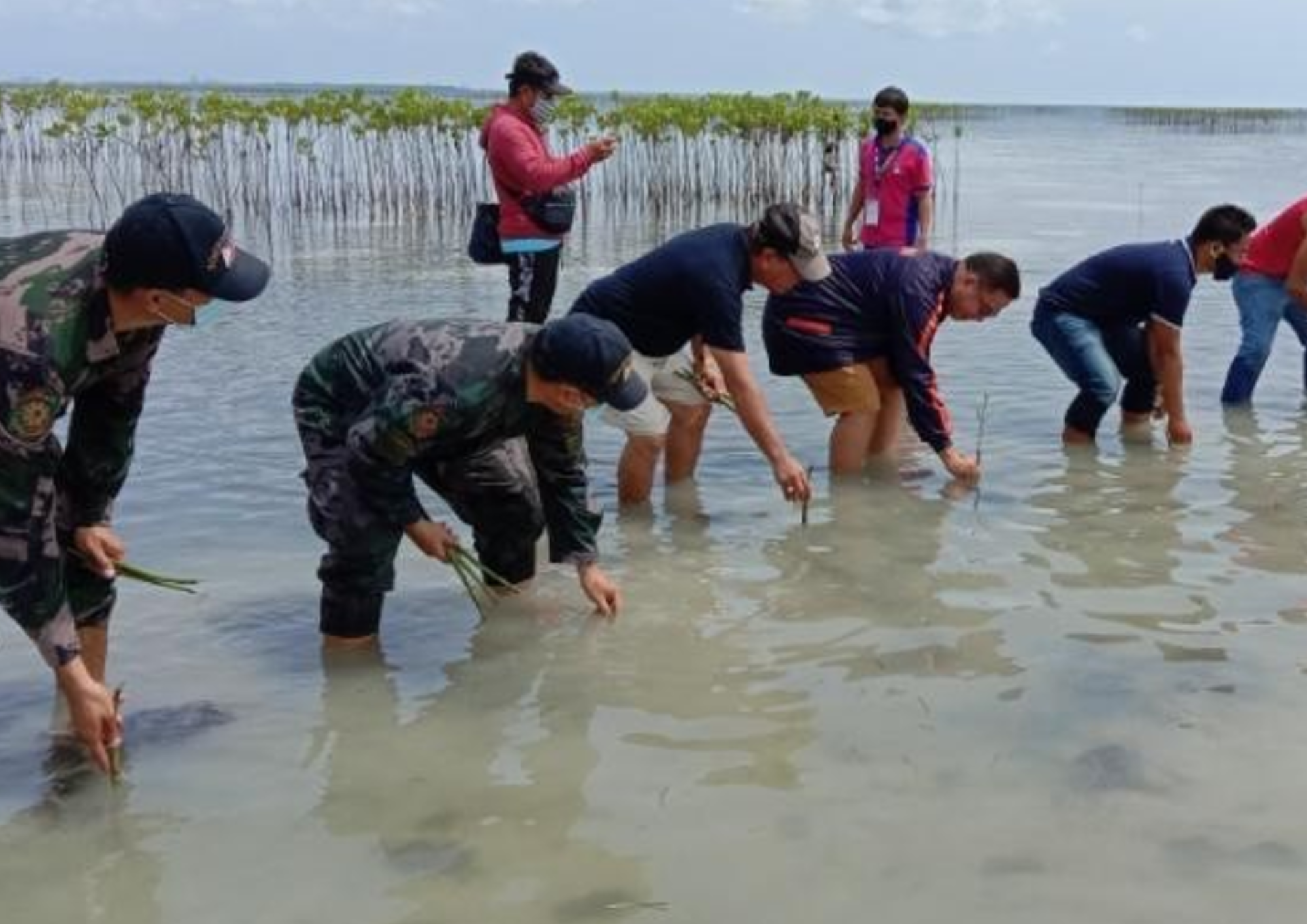 AMICI and CSI Lead Mangrove Reforestation Efforts in Cabul-an Island, Bohol