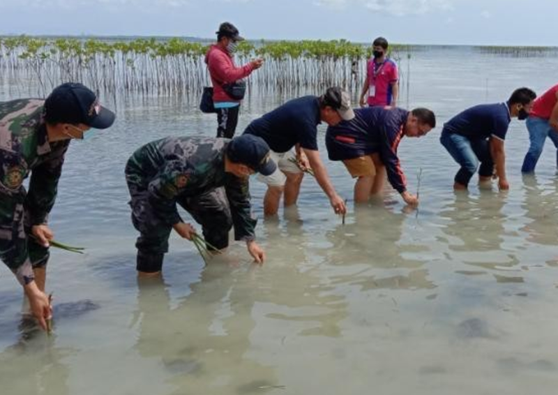 AMICI and CSI Lead Mangrove Reforestation Efforts in Cabul-an Island, Bohol