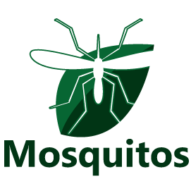 Mosquito