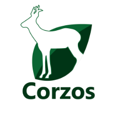 Corzo