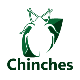 Chinche