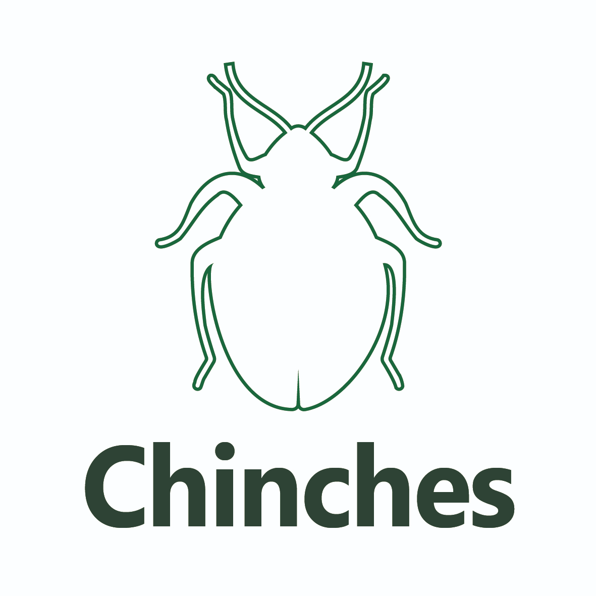 Chinche