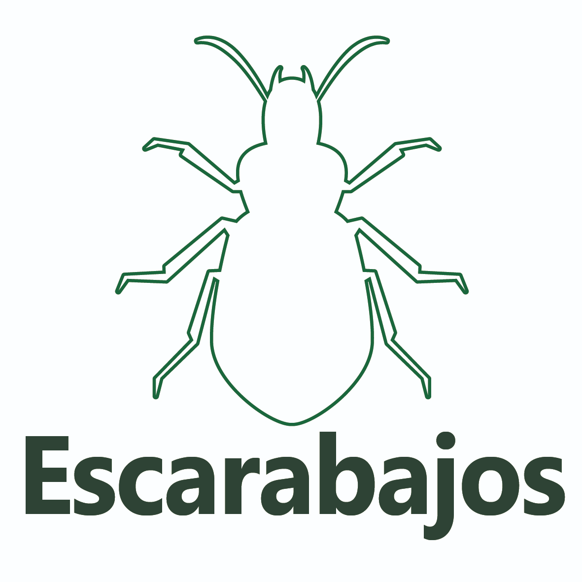Escarabajo