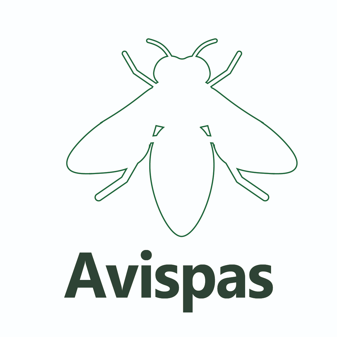 Avispa