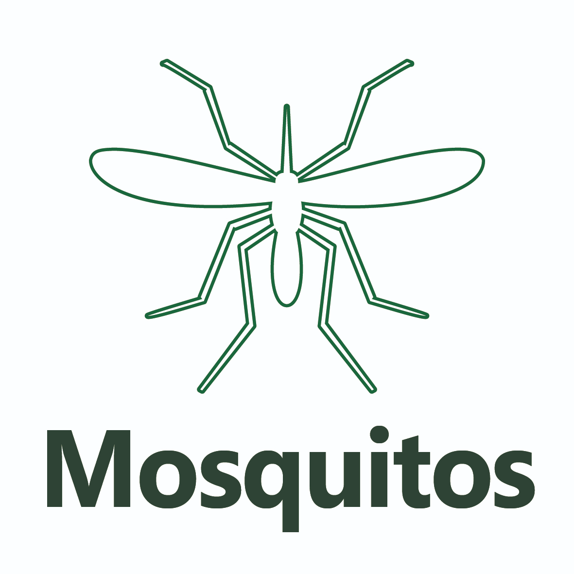 Mosquito