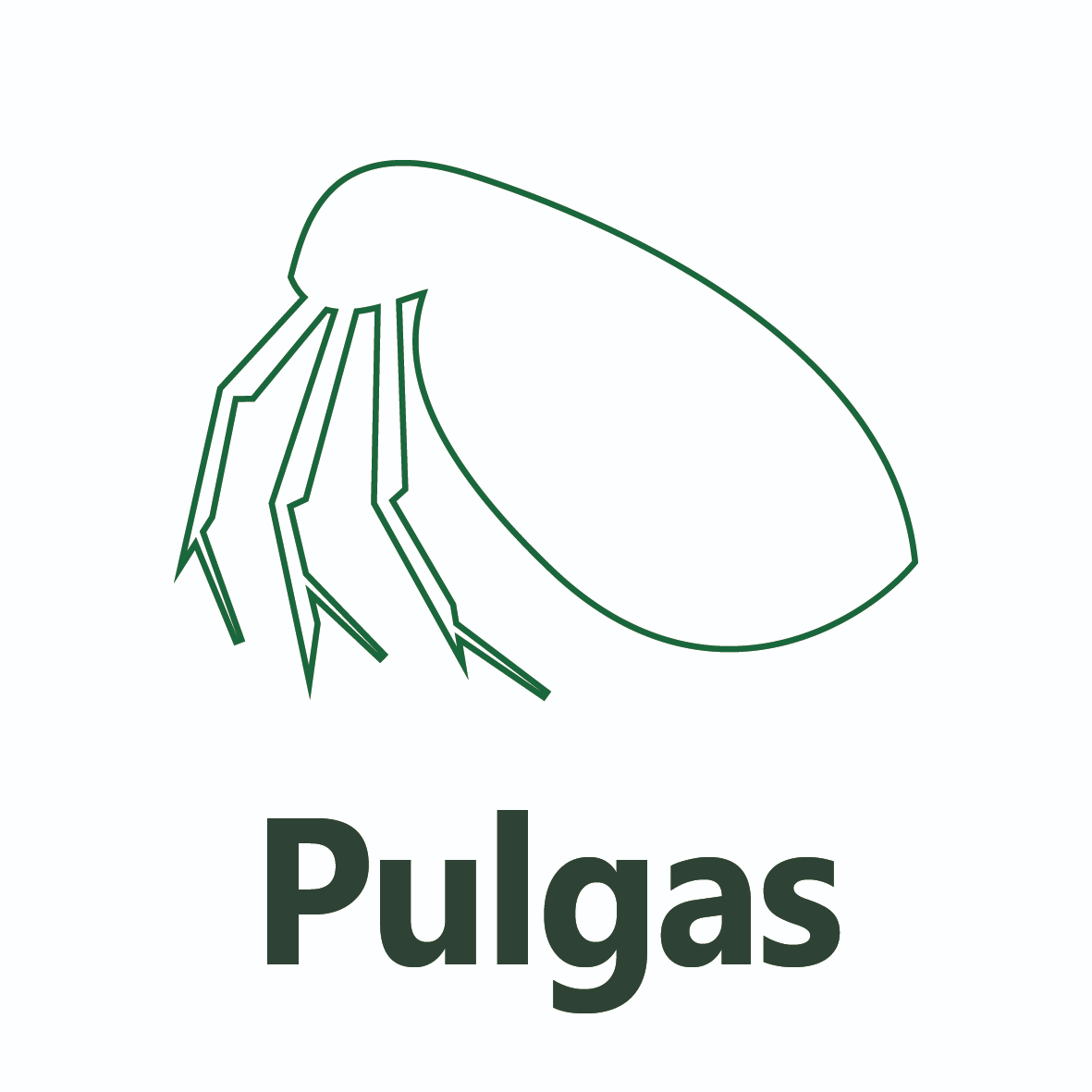 Pulga