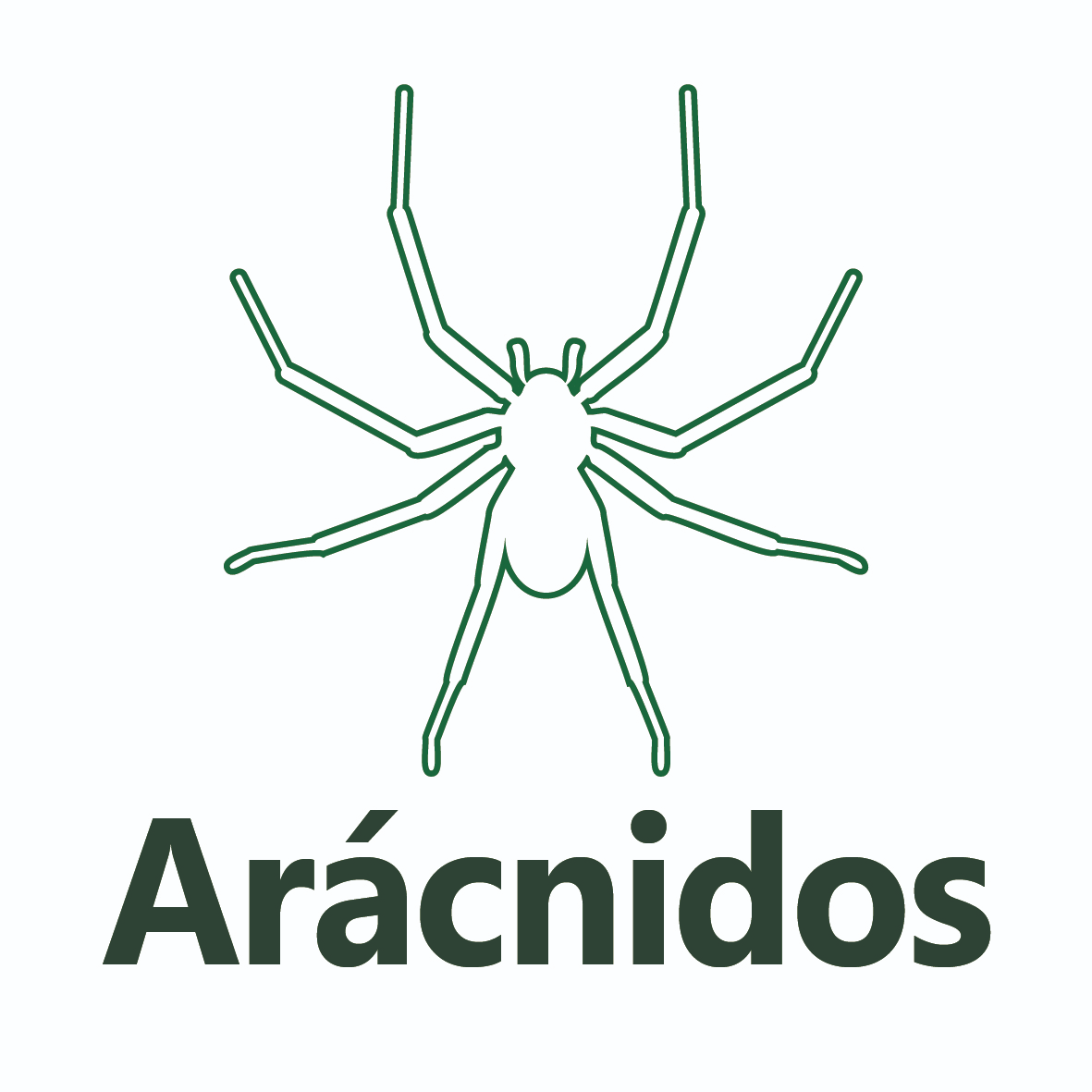 Araño