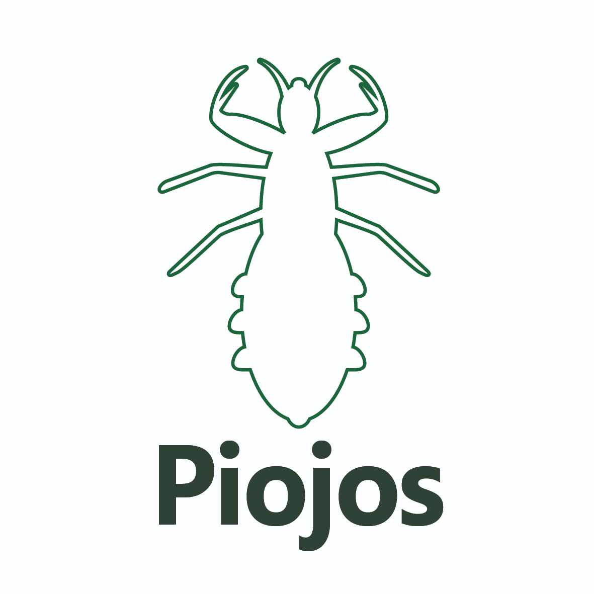 Piojo