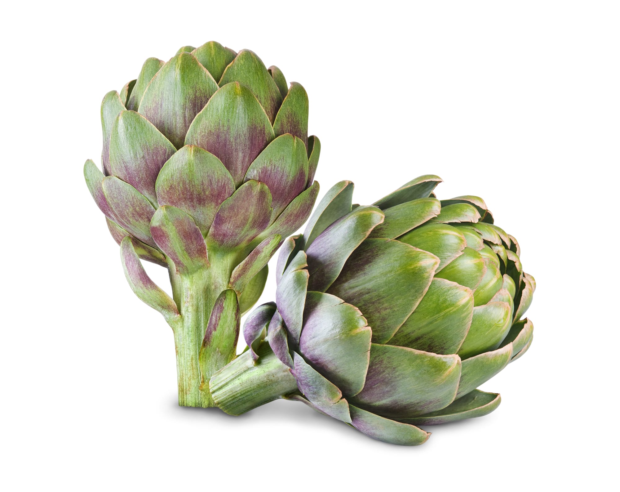 Alcachofa Somagro