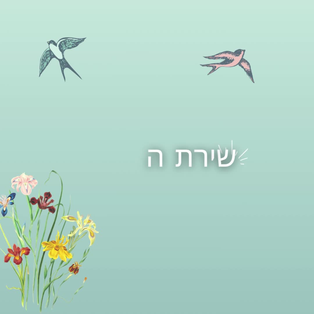 שירת השחר 