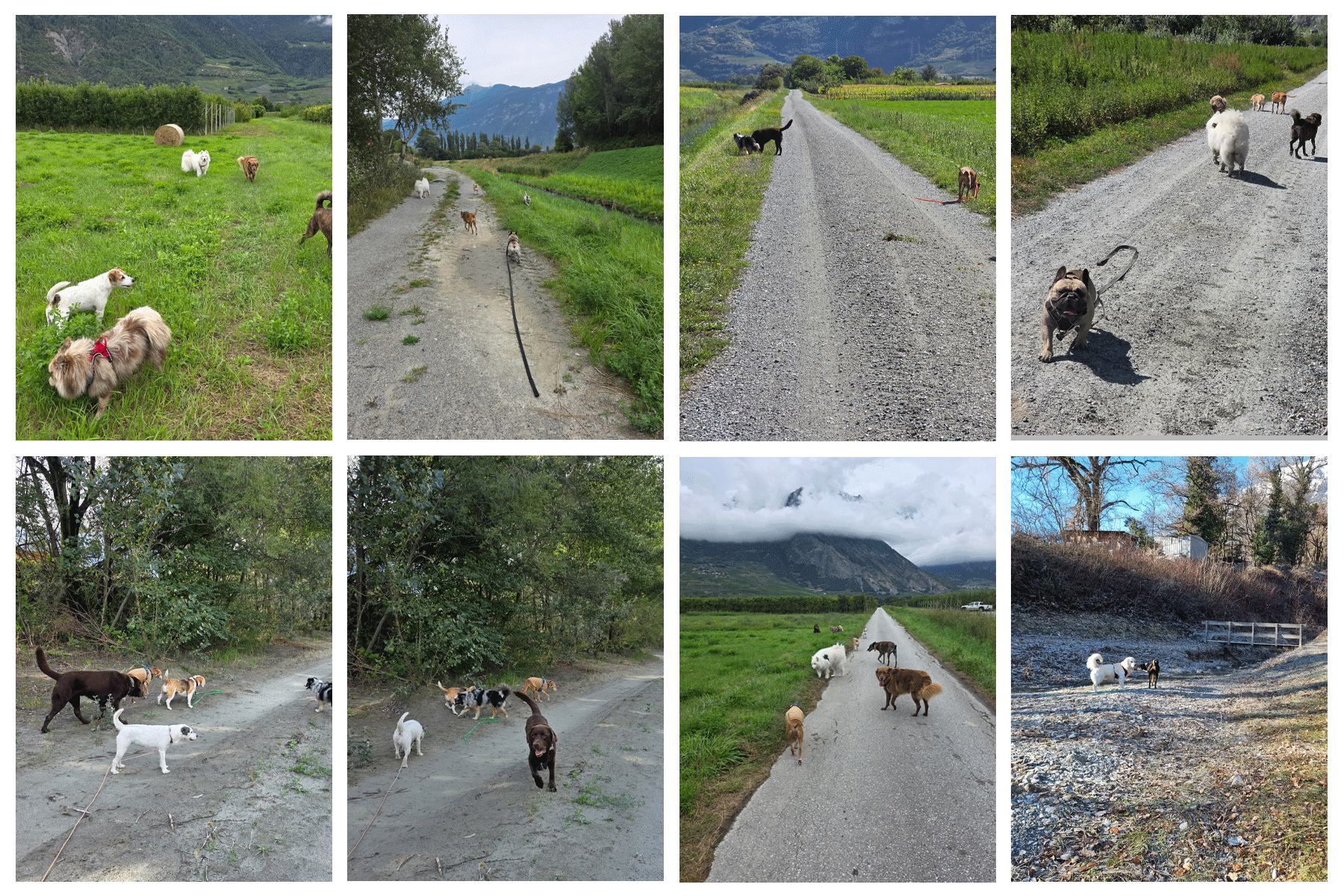 Promenade de groupe