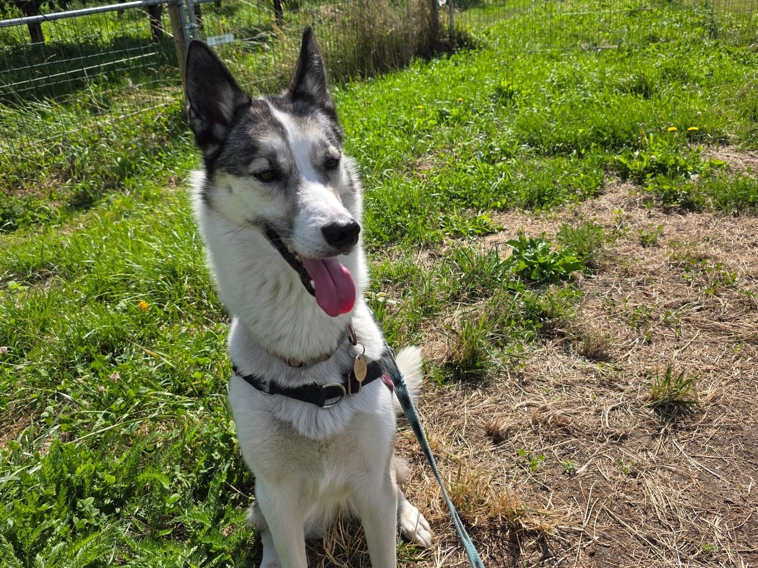 Promenade individuelle