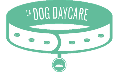 ON AMENAGE LES LOCAUX