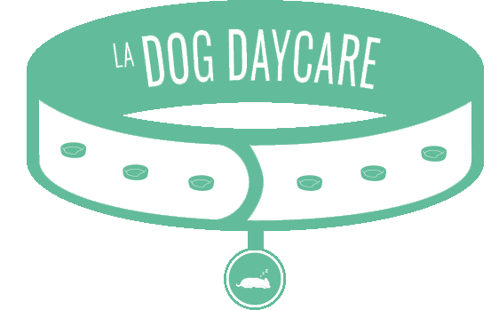 Garderie à la journée