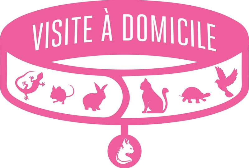 Visite à domicile