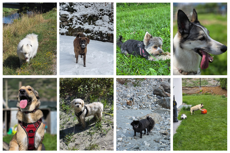 Promenade de quartier