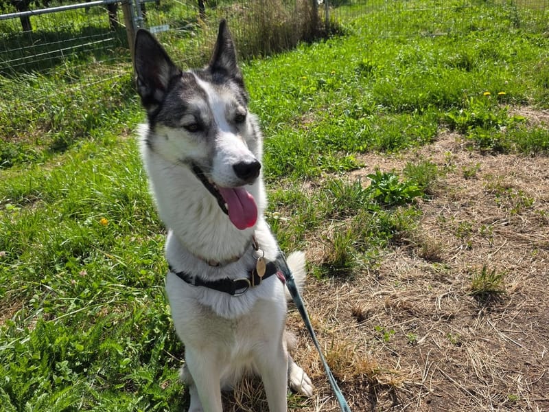 Promenade individuelle